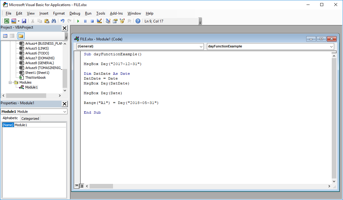 Excel VBA functions - Day VBA function